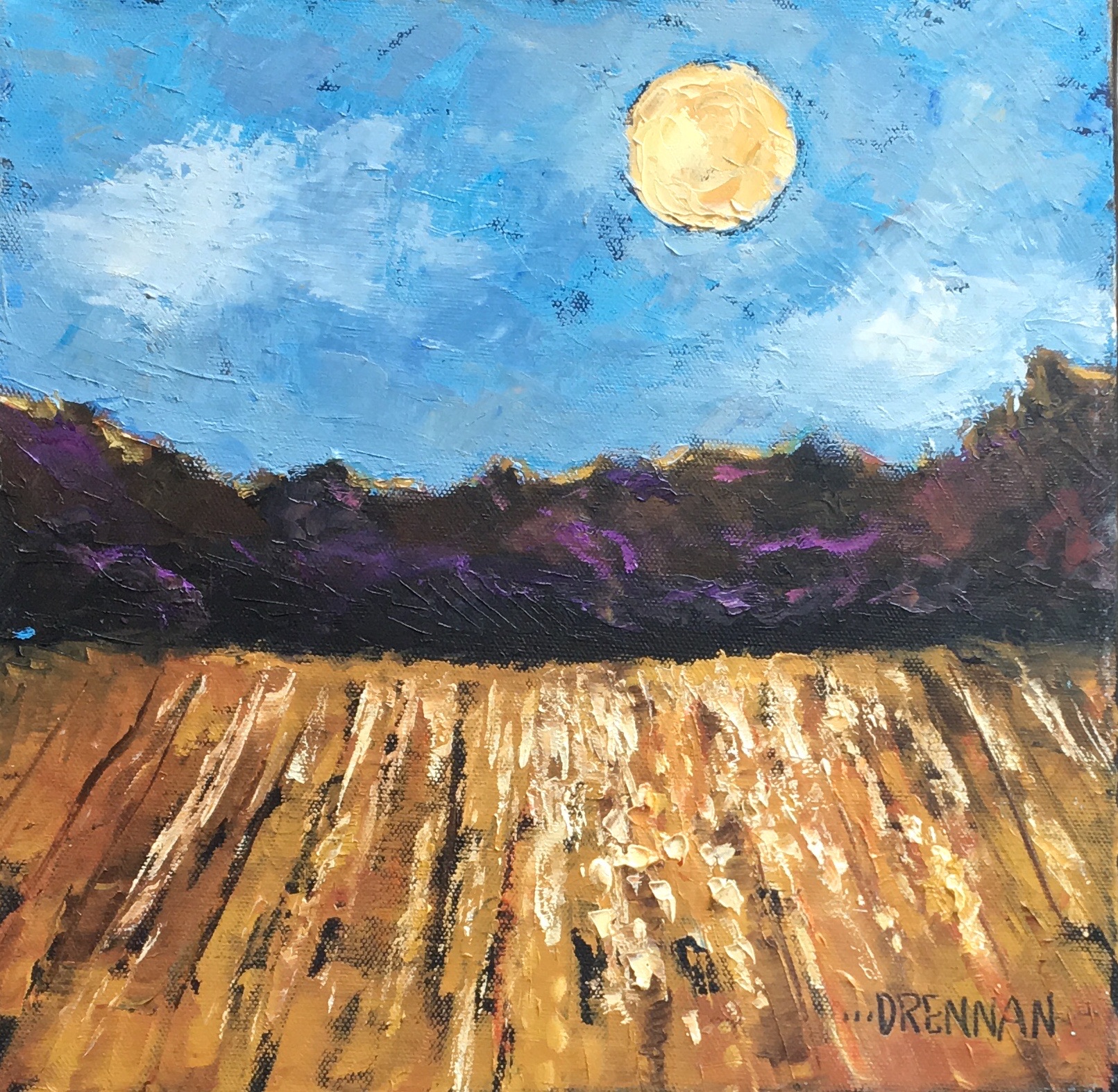 Moonlight on the Cotton Fields