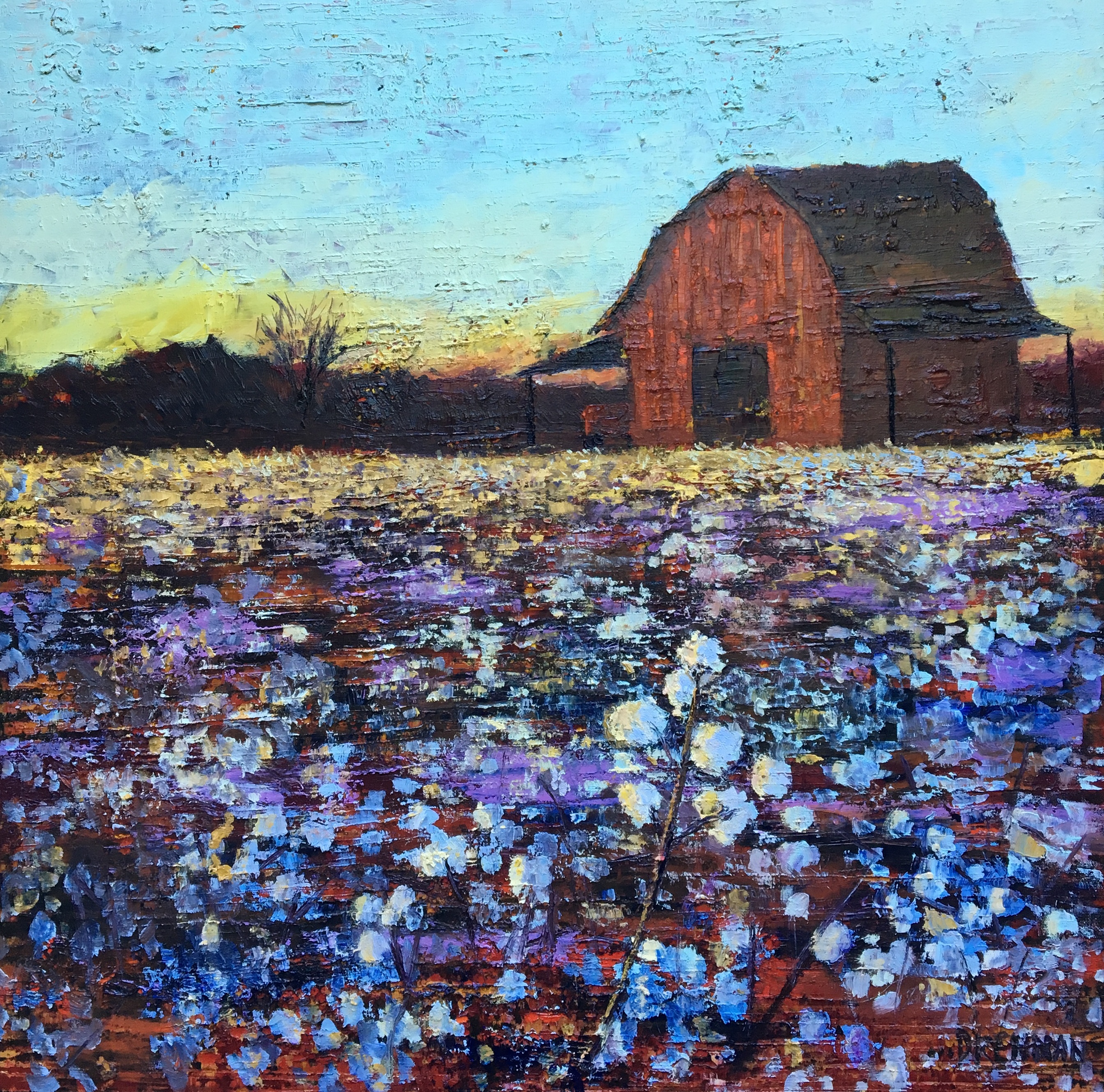 Barn, Cottonfield at Sunset