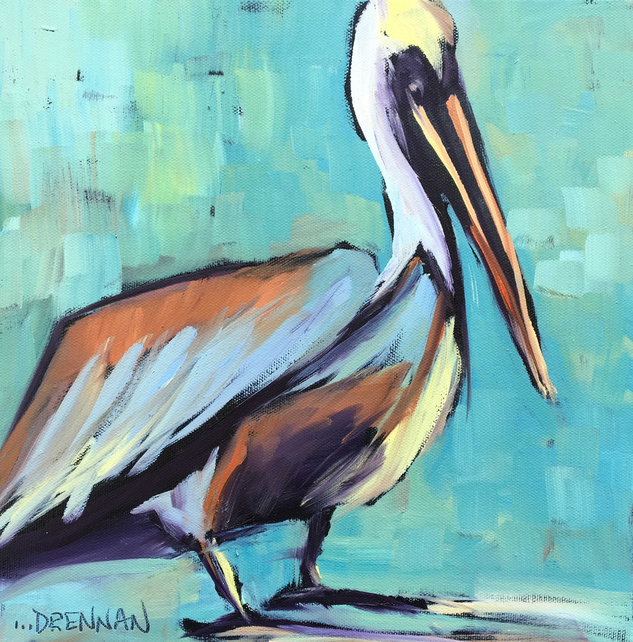 Paused Pelican